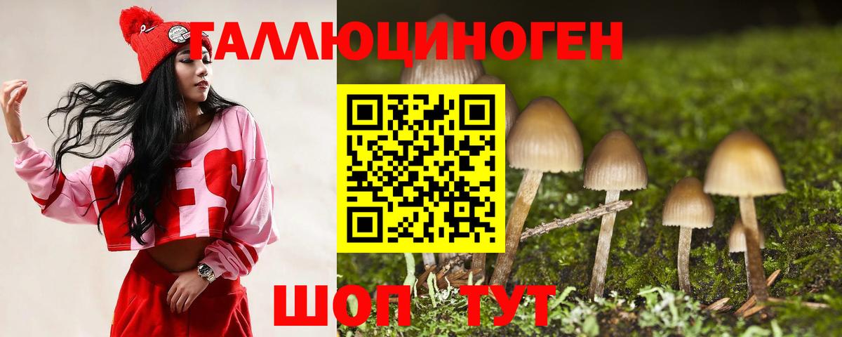 Псилоцибиновые грибы мухоморы Краснознаменск